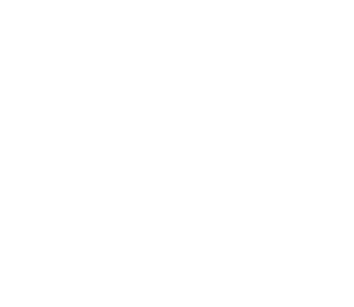 Snow Leopard Trust logo