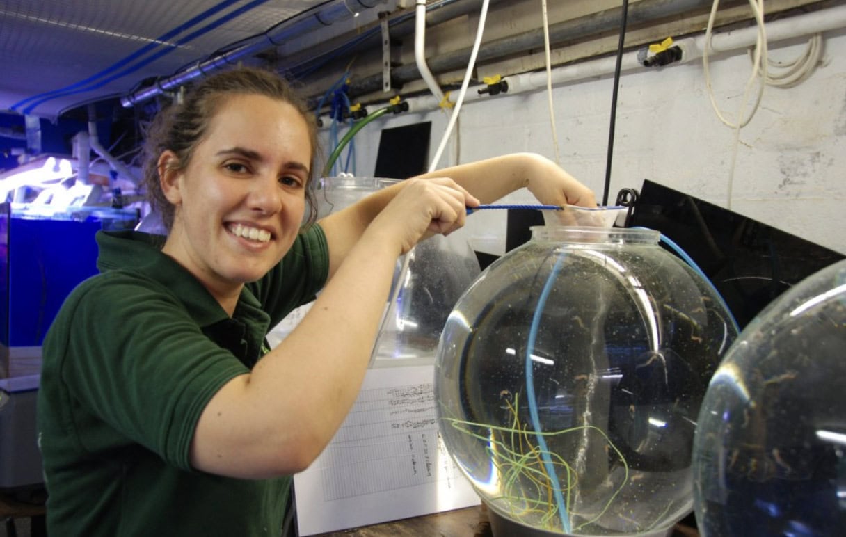 A person wearing a green shirt smiles while working with a round glass aquarium. They seem to be conducting maintenance or feeding, surrounded by equipment and tubing in a professional setup.