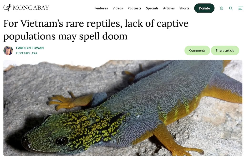 A headline from Mongabay reads, "For Vietnam’s rare reptiles, lack of captive populations may spell doom," accompanied by a close-up image of a vibrant reptile with a green and yellow speckled head, a textured blue body, and orange limbs resting on a rocky surface.