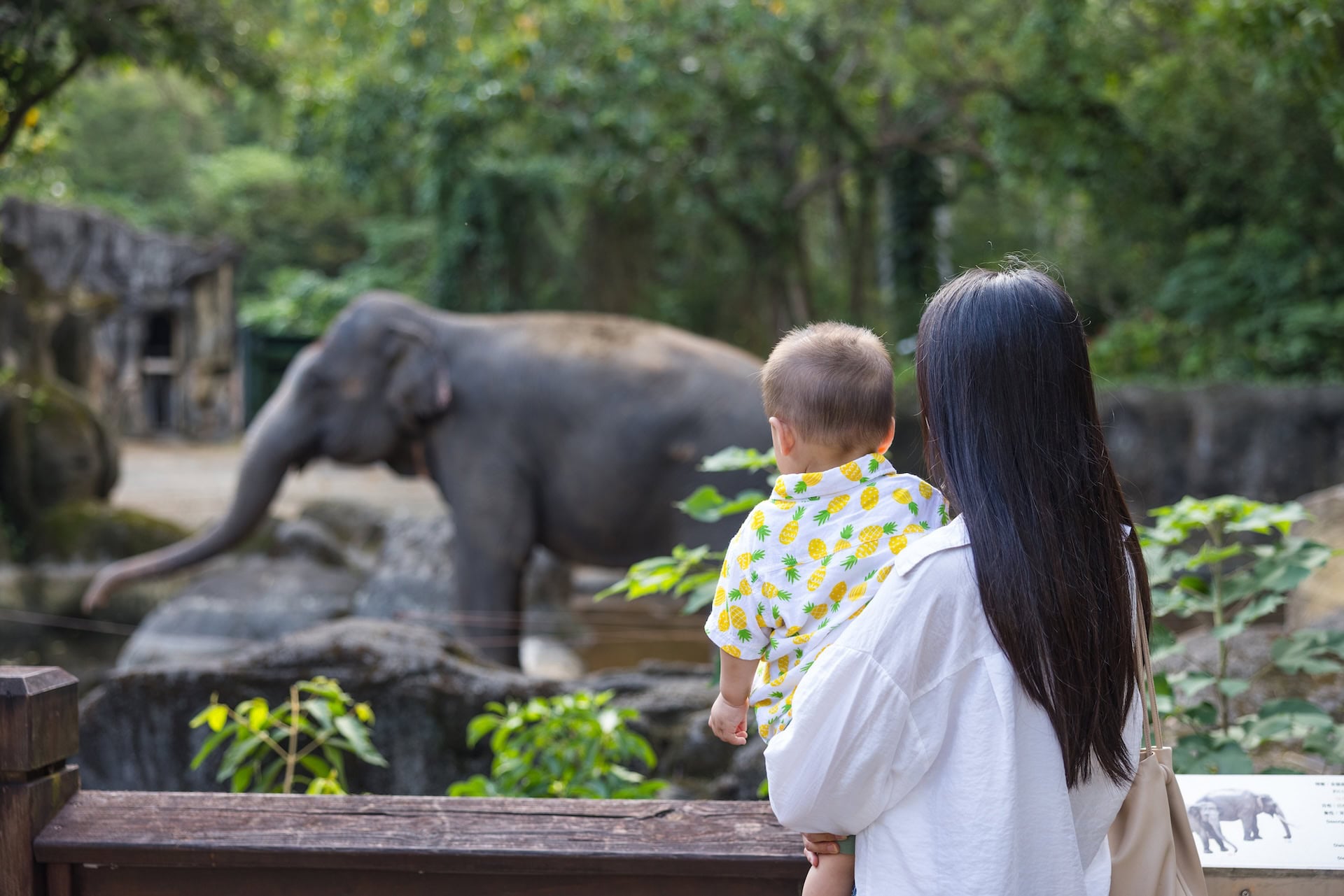 Mother holding baby visiting elephant at zoo