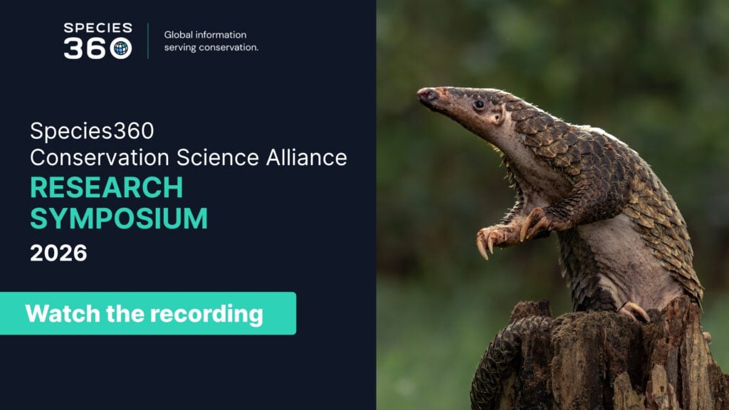 Image of a pangolin on a tree stump